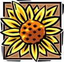 Sunflower Clipart
