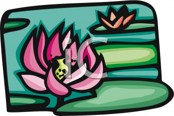 Lily Clipart