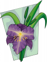 Lily Clipart