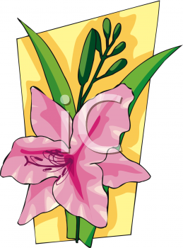 Lily Clipart