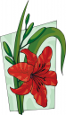 Lily Clipart