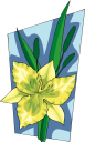 Lily Clipart