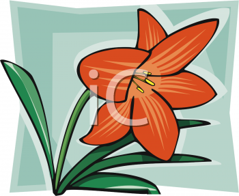 Lily Clipart