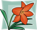 Lily Clipart