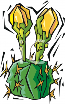 Cactus Clipart
