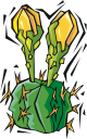 Cactus Clipart