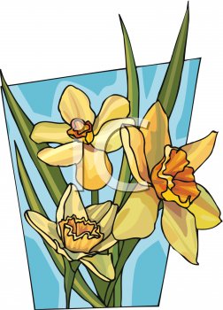 Daffodil Clipart