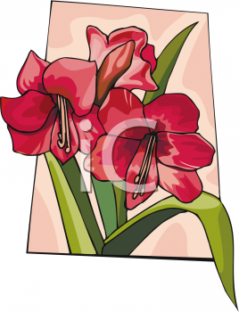 Lily Clipart