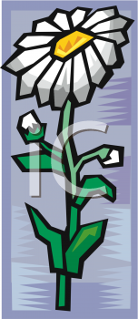 Daisy Clipart