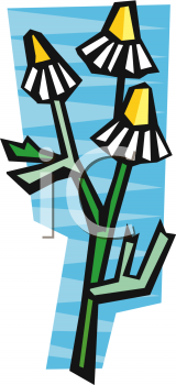 Daisy Clipart