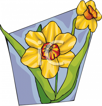 Daffodil Clipart
