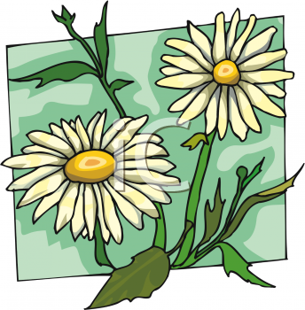 Daisy Clipart