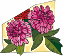 Peony Clipart