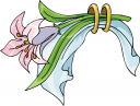 Lily Clipart