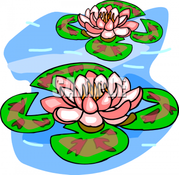 Lily Clipart