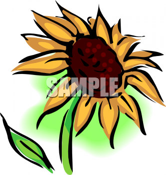 Sunflower Clipart