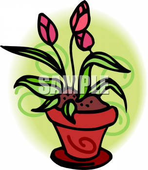 Rose Clipart