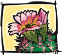 Cactus Clipart