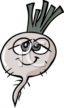 Turnip Clipart
