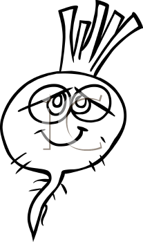 Radish Clipart