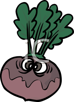 Turnip Clipart