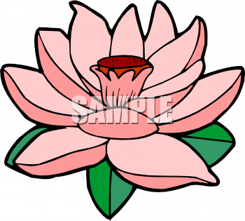 Lily Clipart