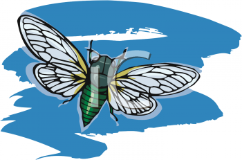 Bug Clipart