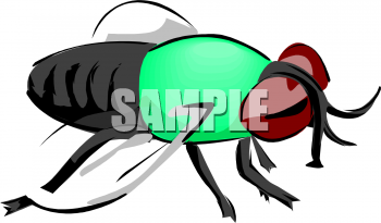 Bug Clipart