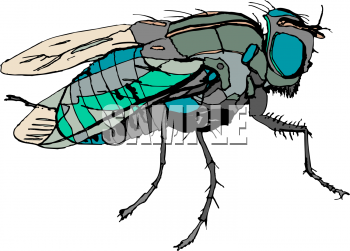 Bug Clipart