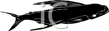 Fish Clipart