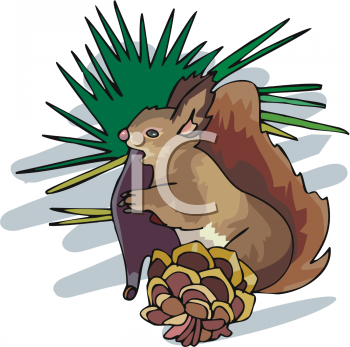 Squirrel Clipart