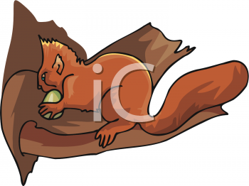 Squirrel Clipart