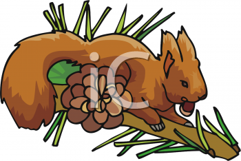 Squirrel Clipart