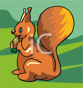 Squirrel Clipart
