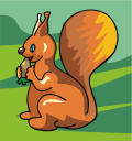 Squirrel Clipart