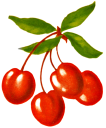 Agriculture Clipart