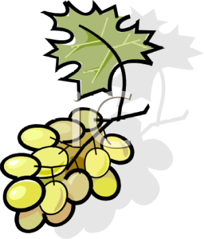 Wine Clipart
