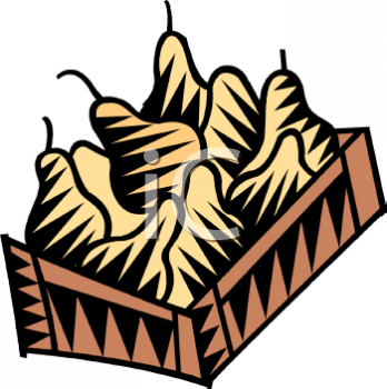 Pear Clipart