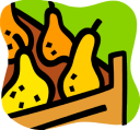 Pear Clipart