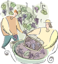 Wine Clipart