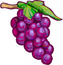 Wine Clipart