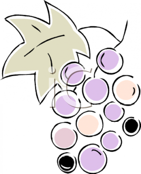 Wine Clipart