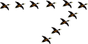 Geese Clipart
