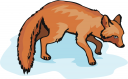Fox Clipart
