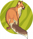 Fox Clipart