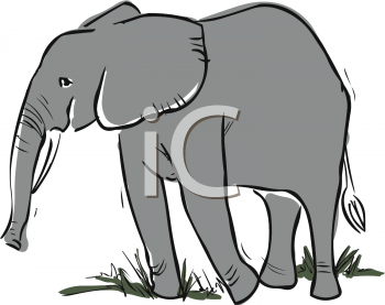 Elephant Clipart