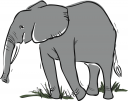 Elephant Clipart