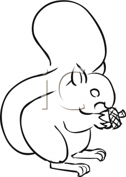 Squirrel Clipart