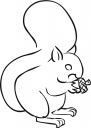 Squirrel Clipart