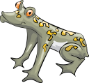 Frog Clipart